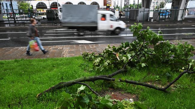 Последствия урагана в Москве