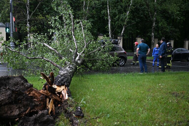 Последствия сильного дождя в Москве