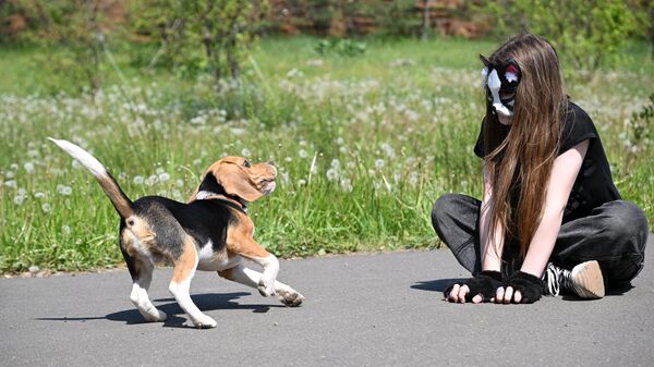 Девушка в маске кошки играет с собакой