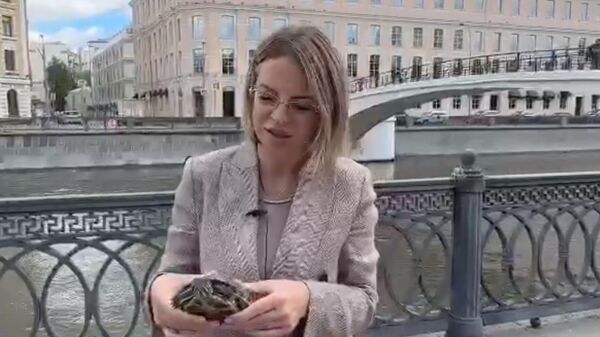 Светлана Акулова держит красноухую черепаху, спасенную из Москвы-реки