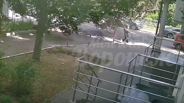 На девушку упало дерево на улице Орджоникидзе в Воронеже
