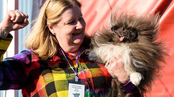 Пекинес Дикая Штучка получил звание самой уродливой собаки в мире по итогам 2024 года на ярмарке Сонома-Марин в Петалуме, Калифорния
