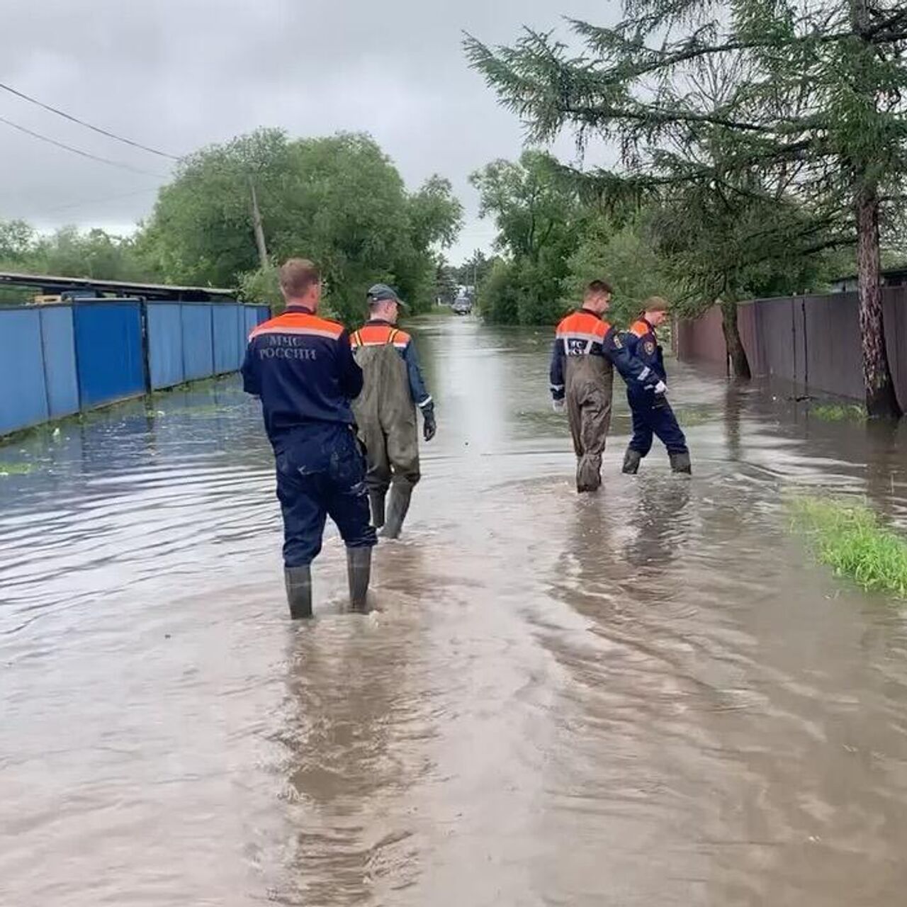 В Приморье из-за паводка затопило 77 частных домов и 520 огородов - РИА  Новости, 26.06.2024