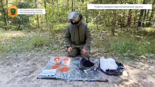 Компоненты для изготовления самодельных взрывных устройств, обнаруженные в тайнике на границе Белоруссии и Украины