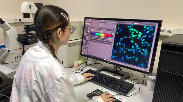 Проведение исследований in vitro на конфокальном лазерном сканирующем микроскопе Проведение исследований in vitro на конфокальном лазерном сканирующем микроскопе