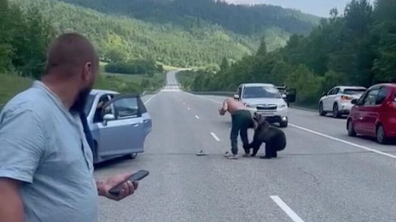 В Приангарье водители записали видео с медвежонком, гулявшим по дороге -  РИА Новости, 01.07.2024