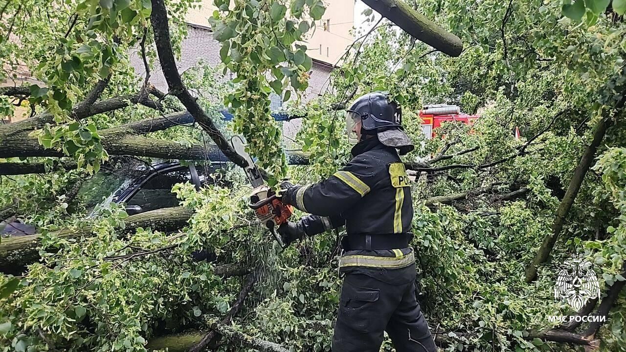 В Петербурге во время урагана погибла женщина - РИА Новости, 02.07.2024