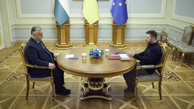 Премьер-министр Венгрии Виктор Орбан и Владимир Зеленский во время встречи в Киеве