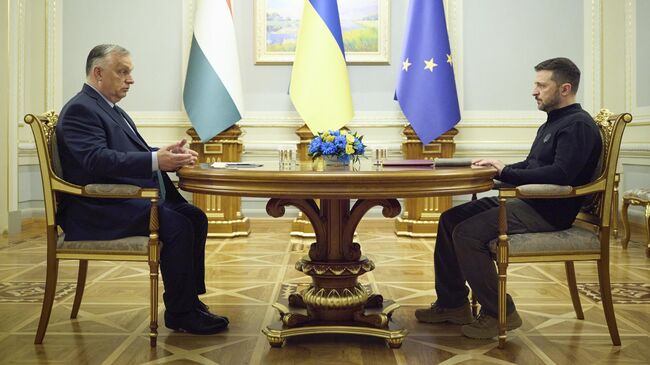 Премьер-министр Венгрии Виктор Орбан и Владимир Зеленский во время встречи в Киеве