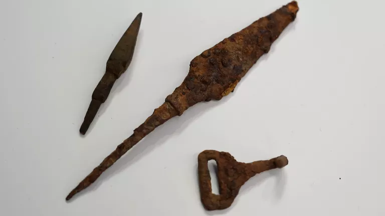 1956900613_0:166:3052:1883_768x0_80_0_0_