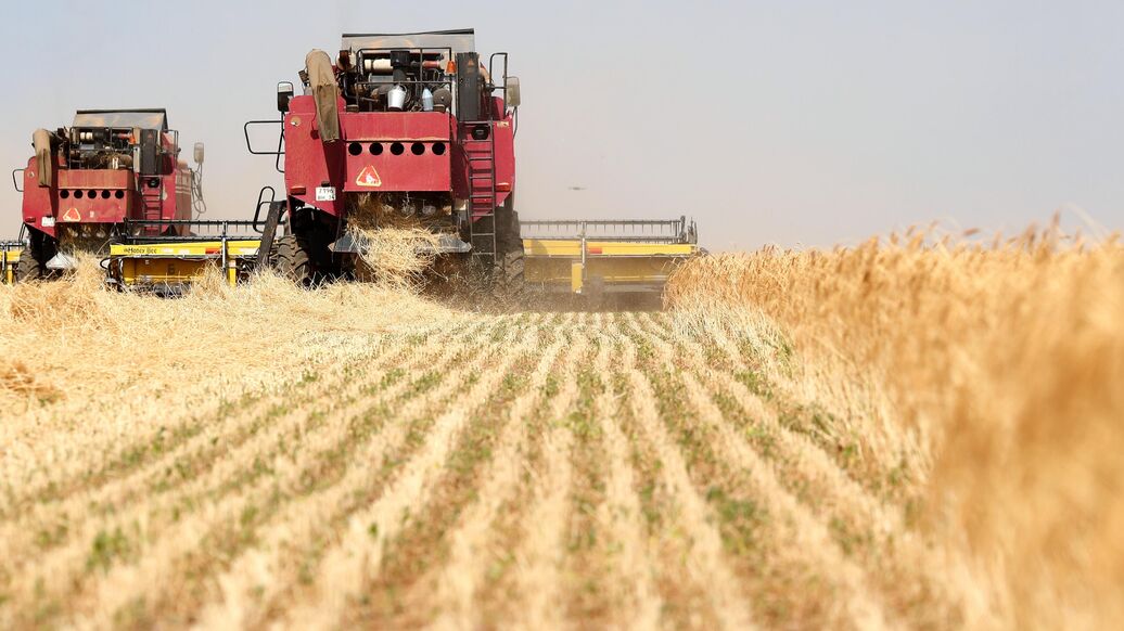 Себе в убыток. Российские экспортеры столкнулись с неожиданной проблемой