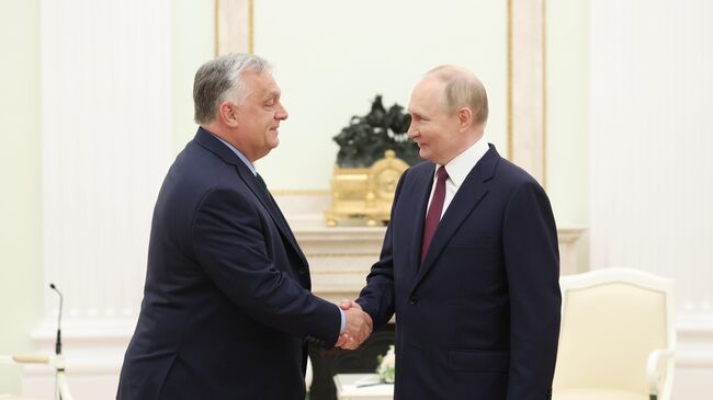 Президент России Владимир Путин и премьер-министр Венгрии Виктор Орбан во время встречи в Москве