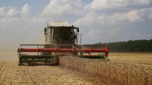 АКРА назвало факторы роста российского сельхозэкспорта