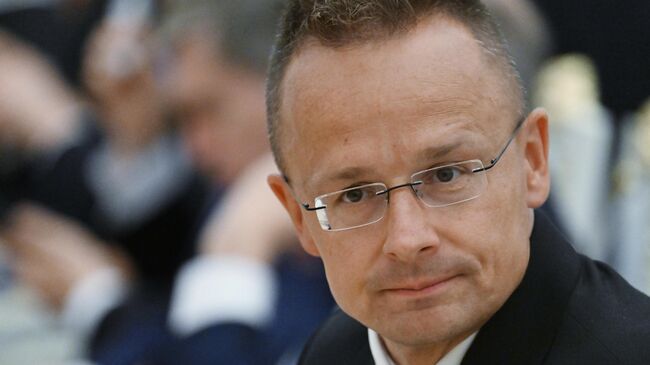 Зеленский хочет втянуть НАТО в конфликт, заявил глава МИД Венгрии