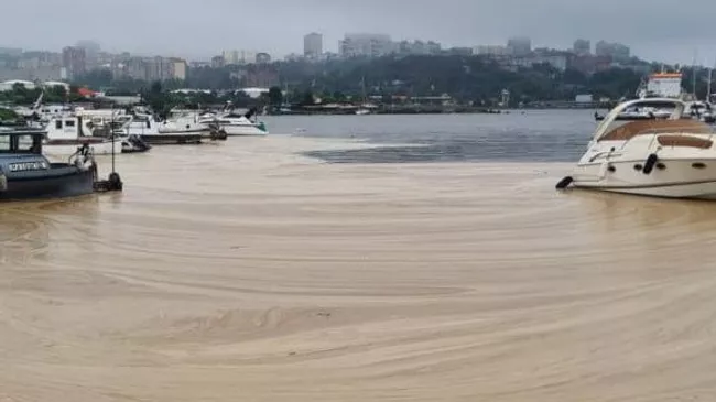 Разводы светло-коричневого цвета, появившиеся на поверхности Амурского залива во Владивостоке