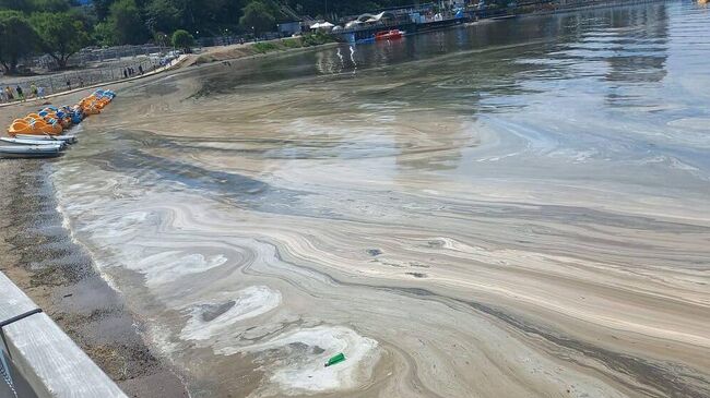 Пятна и разводы в акватории Амурского залива во Владивостоке