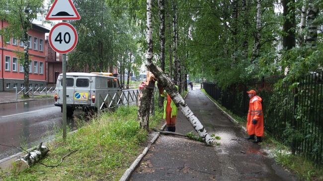 Устранение последствий шквалистого ветра в Сыктывкаре. 6 июля 2024