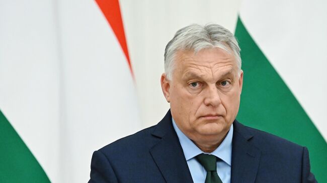 В Госдуме назвали реакцию ЕС на политику Орбана раболепием