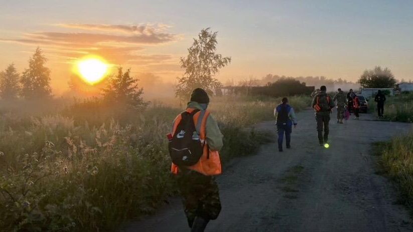 Поиск 14-летнего подростка, пропавшего в лесу под Челябинском - РИА Новости, 1920, 11.07.2024