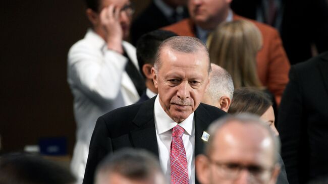 Эрдоган прокомментировал попытки давления на Турцию во внешней политике