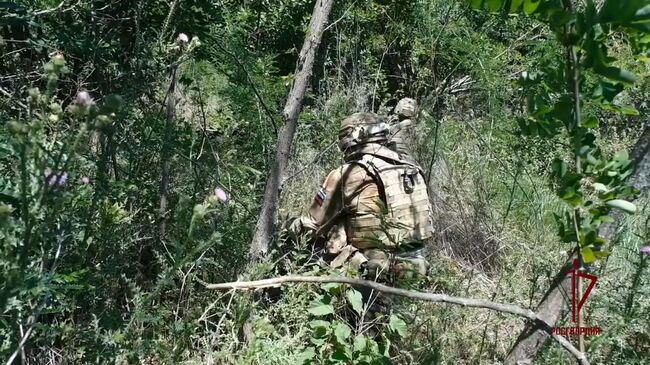 Ликвидация схронов с оружием и боеприпасами в ДНР