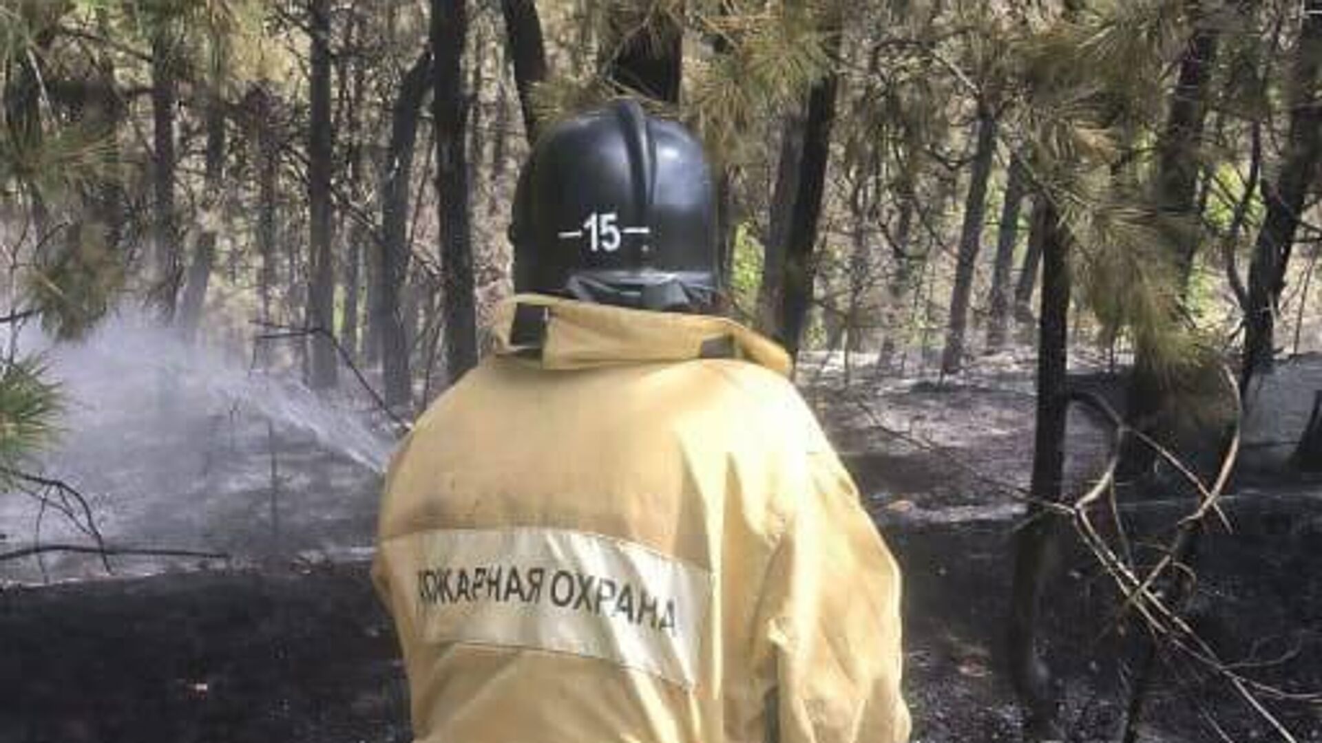 Сотрудник пожарной охраны во время ликвидации пожара в селе Верхнесадовое под Севастополем - РИА Новости, 1920, 13.07.2024