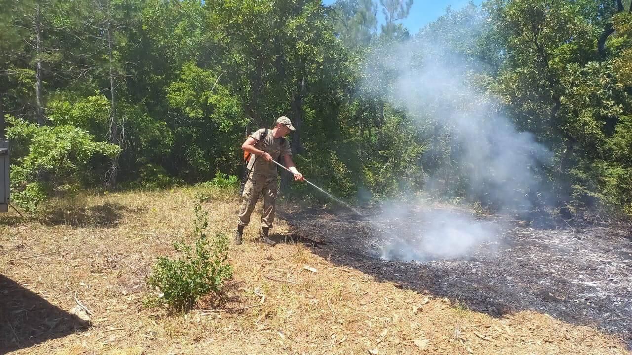 Ликвидация ландшафтного пожара в Балаклавском районе Севастополя - РИА Новости, 1920, 14.07.2024