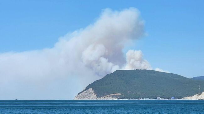 Лесной пожар в районе хутора Дюрсо на Кубани