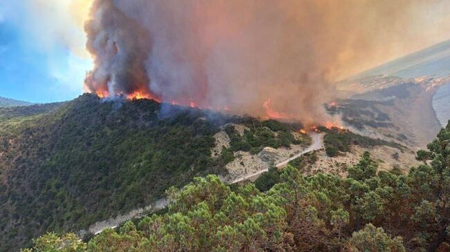Лесной пожар в районе хутора Дюрсо на Кубани
