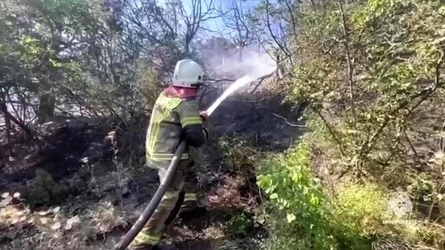 Лесной пожар под Новороссийском. Стоп-кадр видео