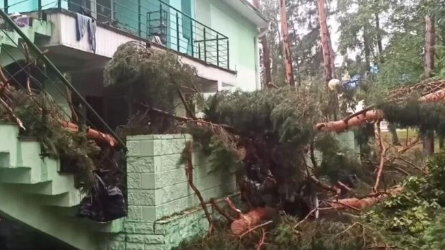 Место падения деревьев на территории детского оздоровительного лагеря в Речицком районе Белоруссии. 14 июля 2024