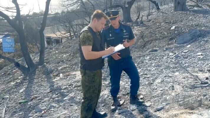 Следственные действия СУ СК РФ на месте пожара в урочище Сухая Щель в Новороссийске. 15 июля 2024 - РИА Новости, 1920, 15.07.2024