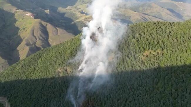 Лесной пожар в Джейрахском районе Ингушетии