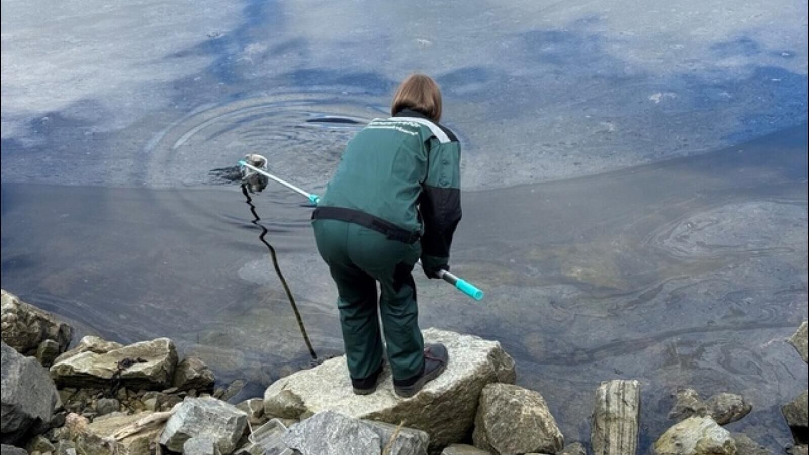 В Мурманске ищут виновника загрязнения воды нефтепродуктами - РИА Новости,  16.07.2024