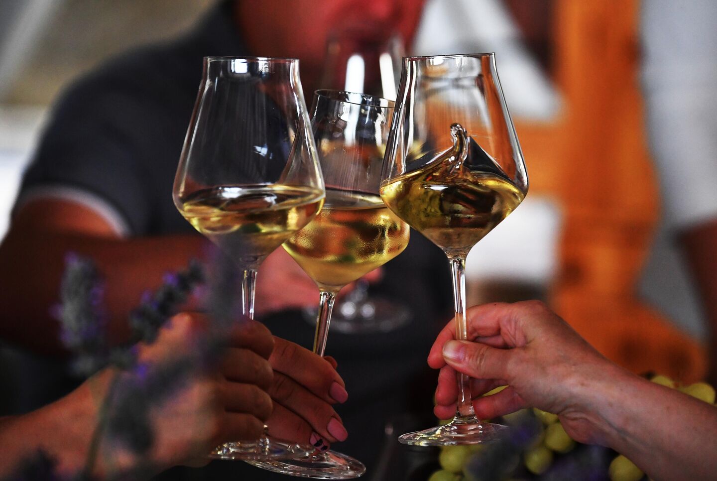 Дегустация вина в Краснодарском крае Дегустация вина в Краснодарском крае