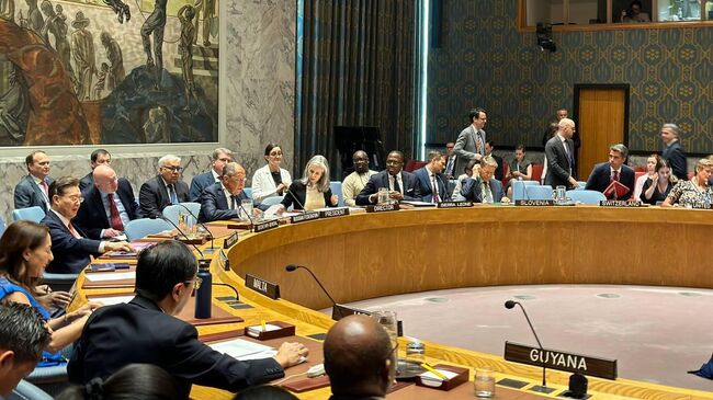 Министр иностранных дел РФ Сергей Лавров во время заседания Совета безопасности ООН в Нью-Йорке
