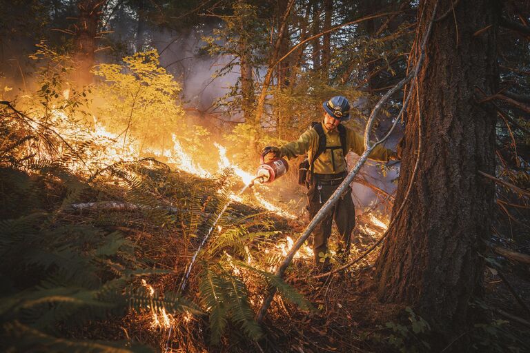 Снимок Good Fire фотографа Maddy Rifka, победивший в категории Human/Nature в конкурсе BigPicture Natural World Photography Competition 2024