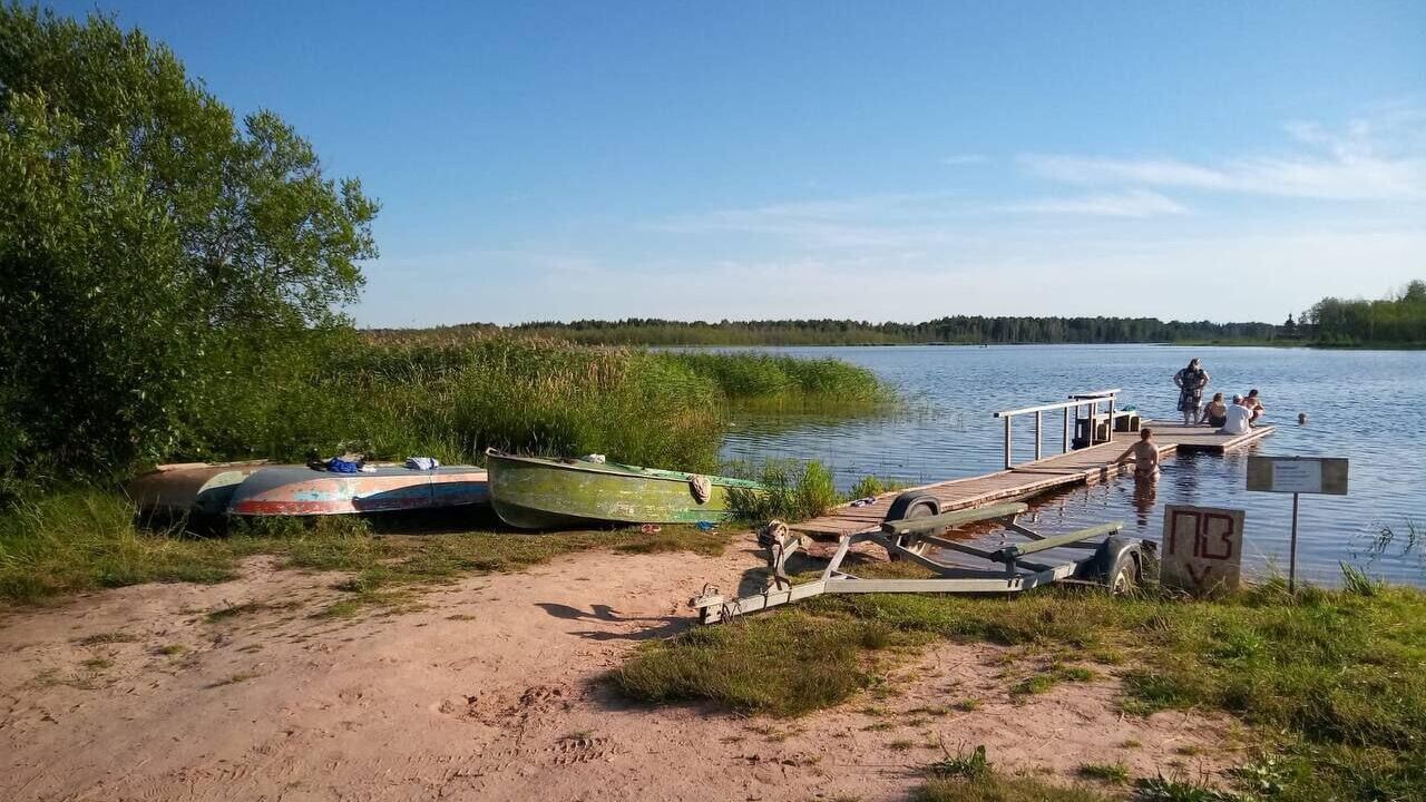 Место происшествия, где лодка перевернулась на озере в Усть-Кубинском районе Вологодской области. 18 июля 2024 - РИА Новости, 1920, 18.07.2024