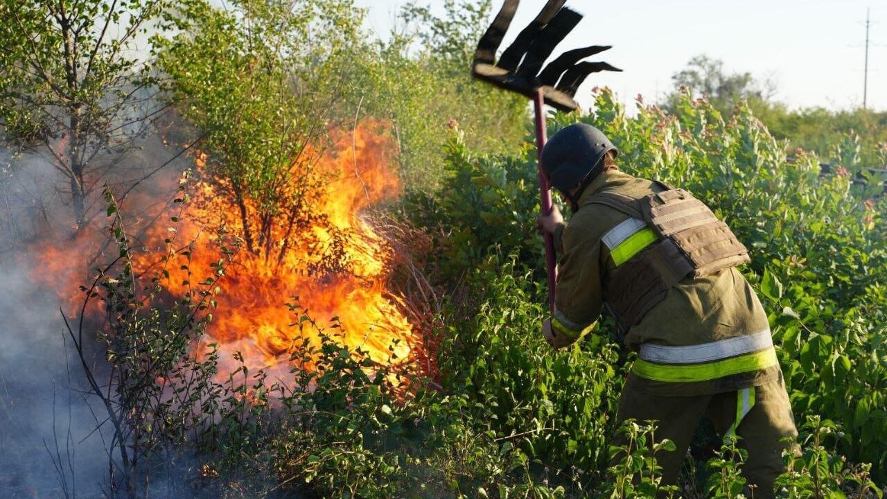 Украинские спасатели тушат пожар на открытой местности в Николаевской области - РИА Новости, 1920, 23.07.2024