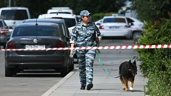 Кинолог работает