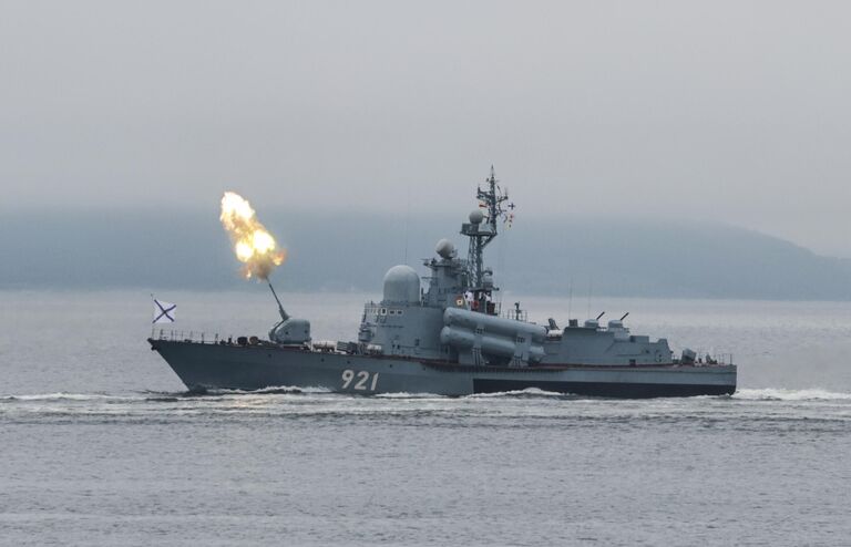 Ракетный катер Р-20 проекта 12411 на военно-морском параде во Владивостоке по случаю Дня Военно-морского флота РФ