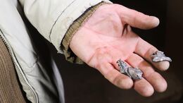 Белгородская область - последние новости сегодня - РИА Новости