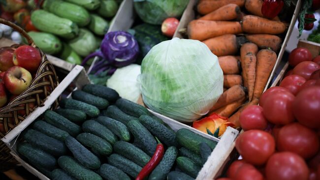 Россия за время продовольственного эмбарго сократила импорт мяса и овощей