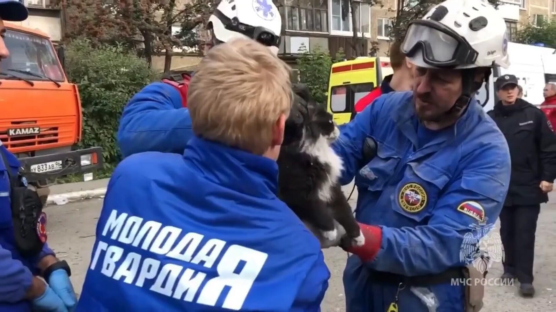 Спасение кота из-под бетонной плиты обрушившегося дома в Нижнем Тагиле - РИА Новости, 1920, 02.08.2024