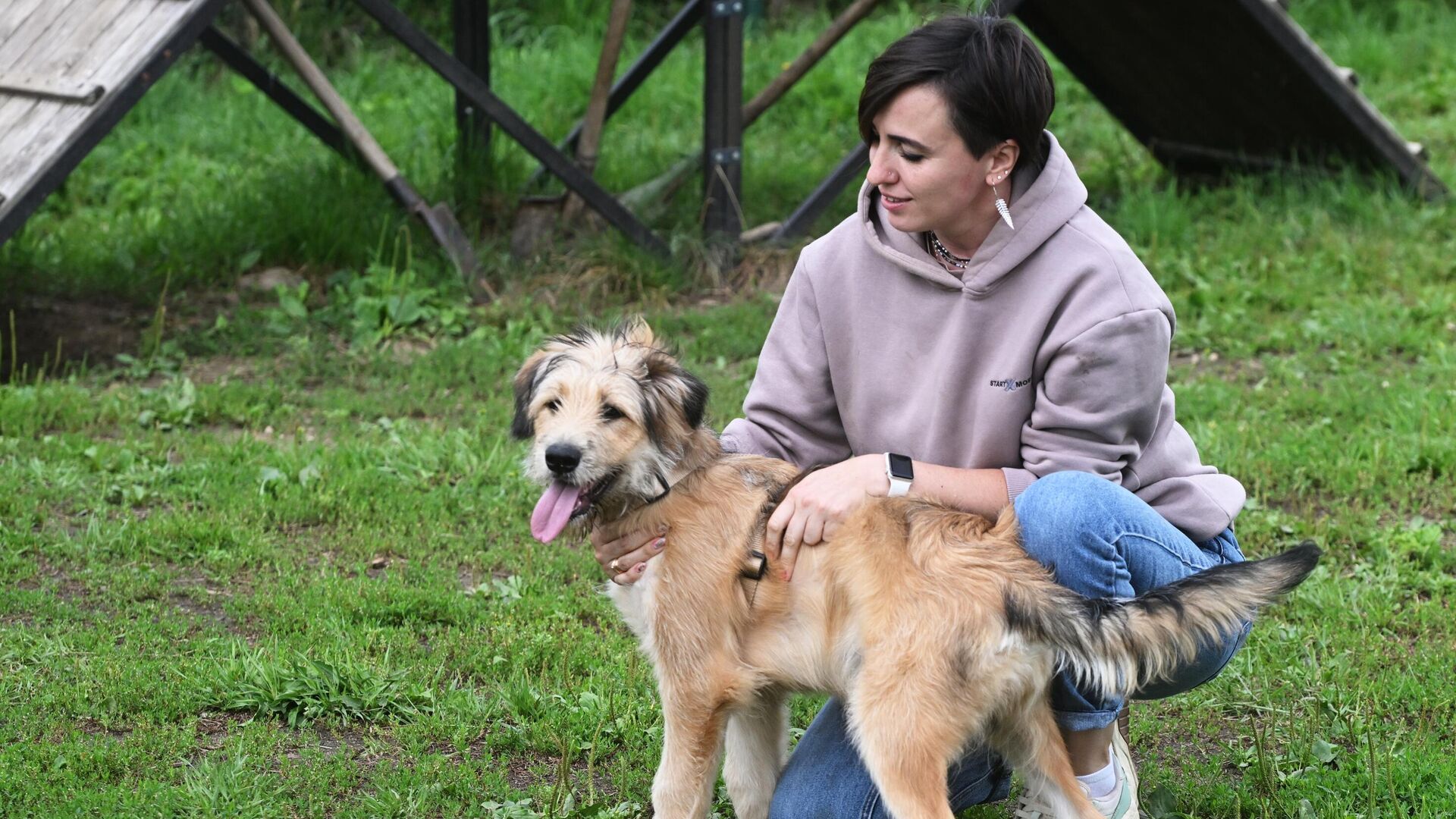 Хаминский: за выгул собак на детских площадках грозит штраф в три тысячи рублей