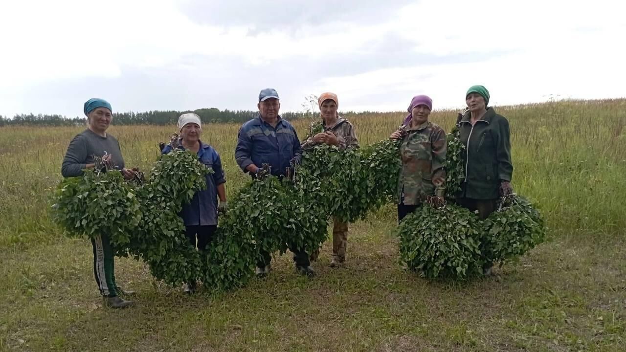 Пенсионеры и ветераны из Калтасинского района Башкирии изготовили березовые веники для участников СВО - РИА Новости, 1920, 13.08.2024