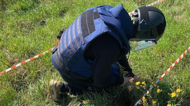 Пиротехники МЧС России в Курской области