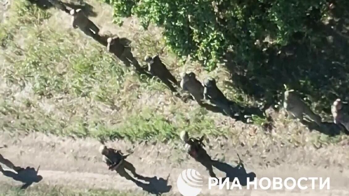 Сдача в плен подразделения военных из 22-й отдельной механизированной бригады ВСУ в Курской области - РИА Новости, 1920, 19.08.2024