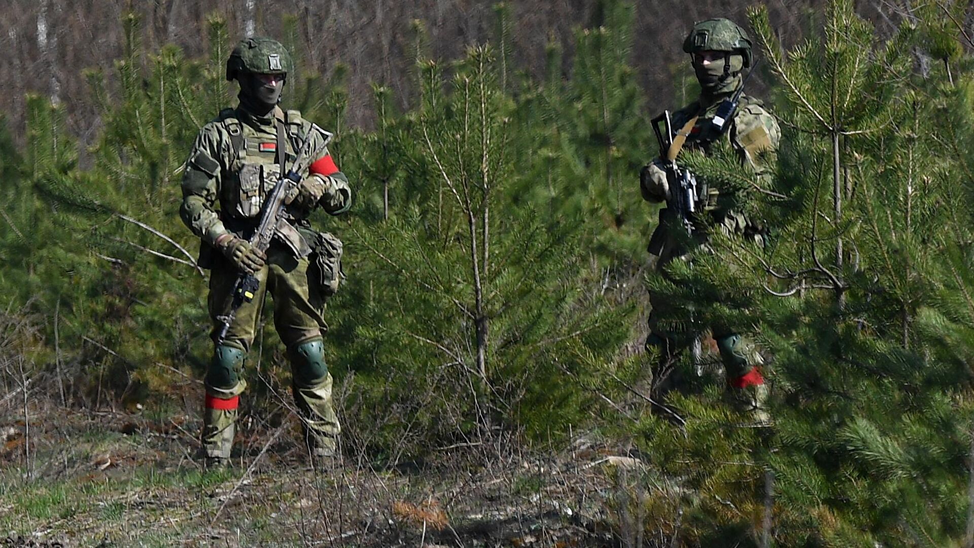 Военнослужащие десантных войск Белоруссии патрулируют белорусскую границу - РИА Новости, 1920, 08.10.2024