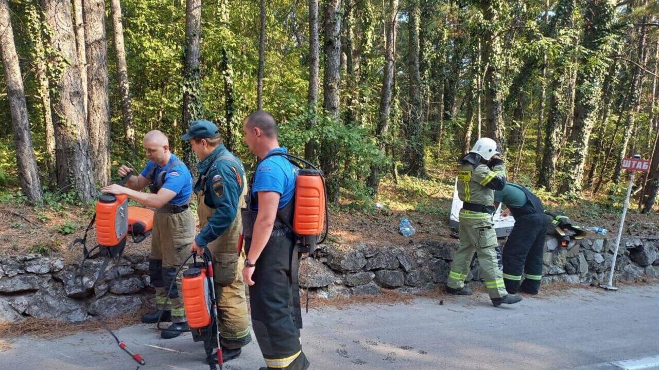 Спасатели на месте пожара в Ялтинском горно-лесном заповеднике - РИА Новости, 1920, 18.08.2024